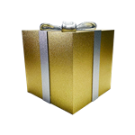 Gold Gift Box with Silver Bow