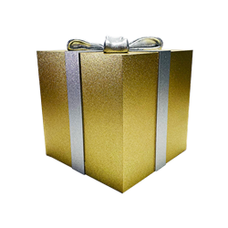 Gold Gift Box with Silver Bow