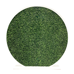 Circle Topiary Wall with Frame