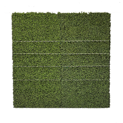 Topiary Champagne Wall