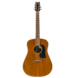 Acoustic Guitar - Mahogany