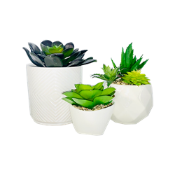 Modern Faux Mini Succulent Trio (Set of 3)