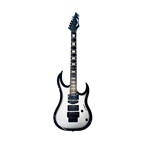 Silver and Black Guitar