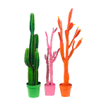 Pop Cactus Trio