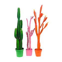 Pop Cactus Trio