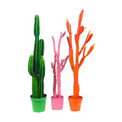 Pop Cactus Trio (Set of 3)