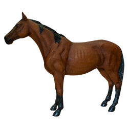Life Size Horse