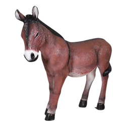 Brown Donkey