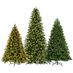 Green Lighted Tree Trio (Set of 3)