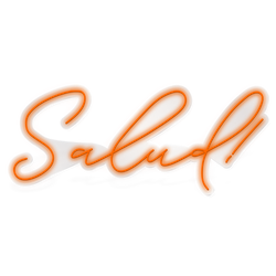 Salud!  - Multicolor LED Neon