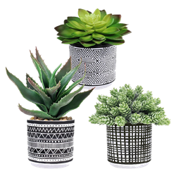 Boho Faux Succulent Trio (Set of 3)