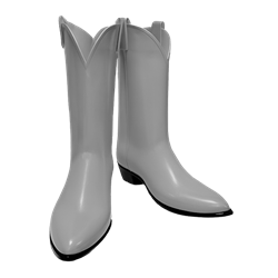 6' Custom Cowboy Boots