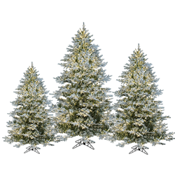Flocked Lighted Tree Trio (Set of 3)