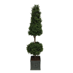 Conical and Ball Topiary Tree