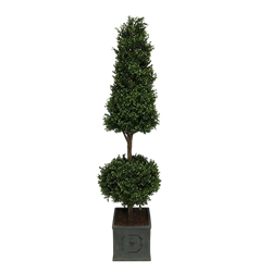 Conical and Ball Topiary Tree