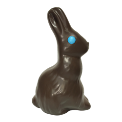 Chocolate Bunny