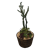 Cactus Weighted Half Barrel