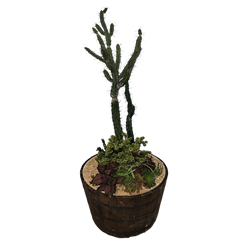 Cactus Weighted Half Barrel