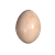 Dinosaur Egg