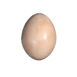 Dinosaur Egg