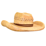Oversized Cowboy Hat