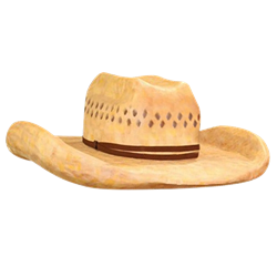 Oversized Cowboy Hat