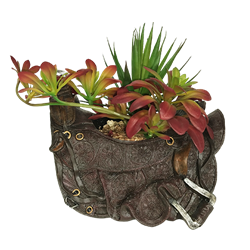 Saddle Vase with Succulents