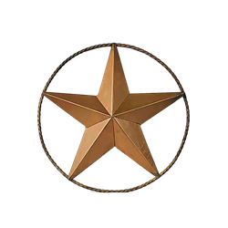 Bronze Metal Star - 24"